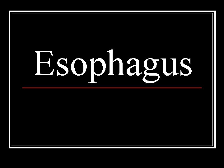 Esophagus 