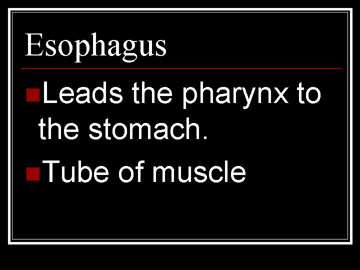 Esophagus n. Leads the pharynx to the stomach. n. Tube of muscle 