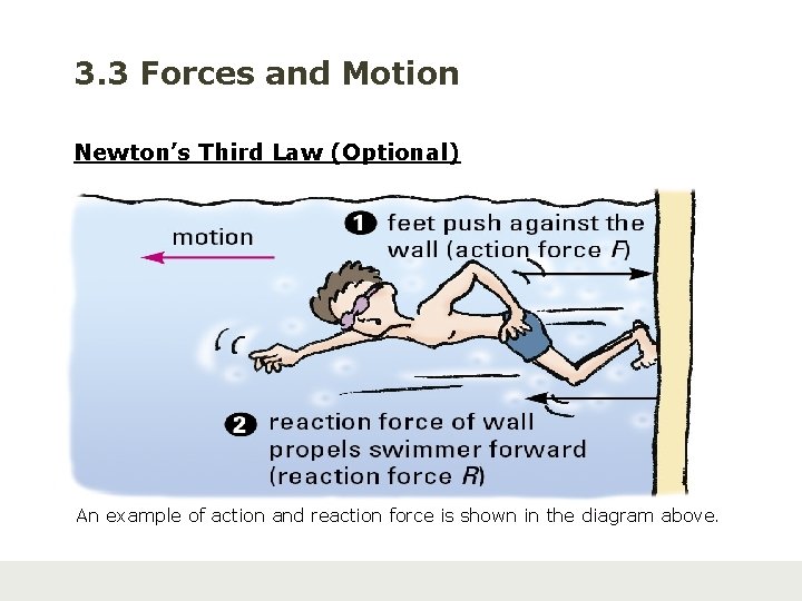 3. 3 Forces and Motion Newton’s Third Law (Optional) An example of action and