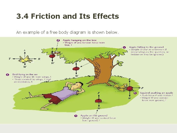 3. 4 Friction and Its Effects An example of a free body diagram is
