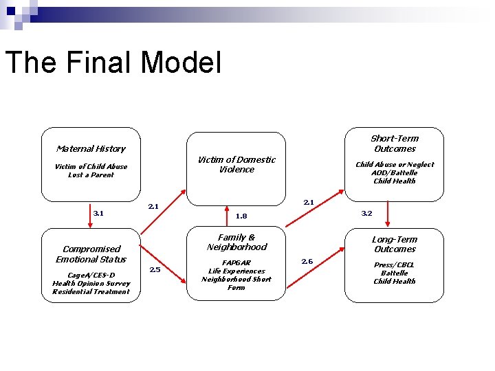 The Final Model Short-Term Outcomes Maternal History Victim of Domestic Violence Victim of Child