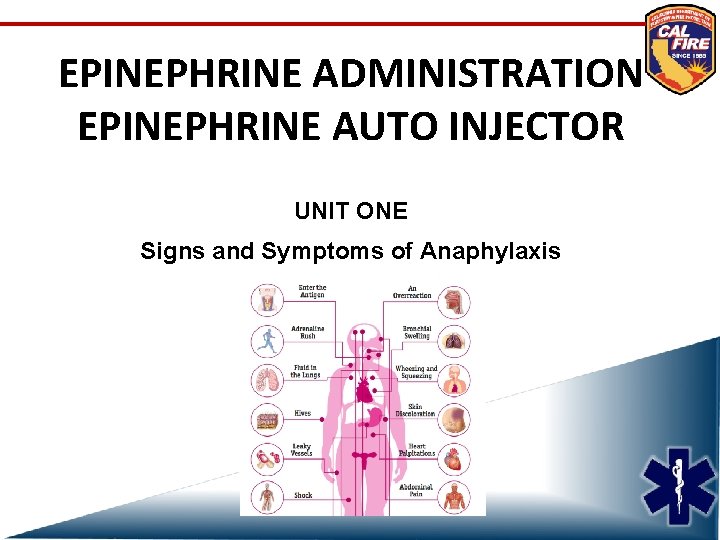 EPINEPHRINE ADMINISTRATION EPINEPHRINE AUTO INJECTOR UNIT ONE Signs and Symptoms of Anaphylaxis 