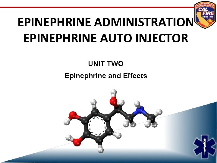 EPINEPHRINE ADMINISTRATION EPINEPHRINE AUTO INJECTOR UNIT TWO Epinephrine and Effects 