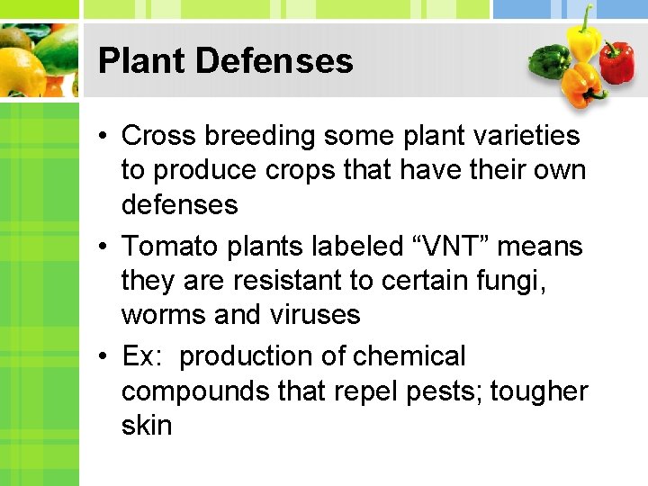 Plant Defenses • Cross breeding some plant varieties to produce crops that have their