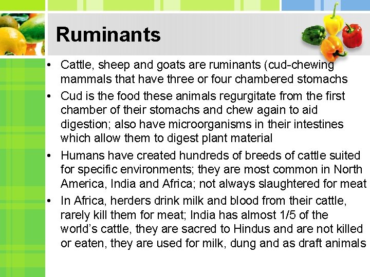 Ruminants • Cattle, sheep and goats are ruminants (cud-chewing mammals that have three or