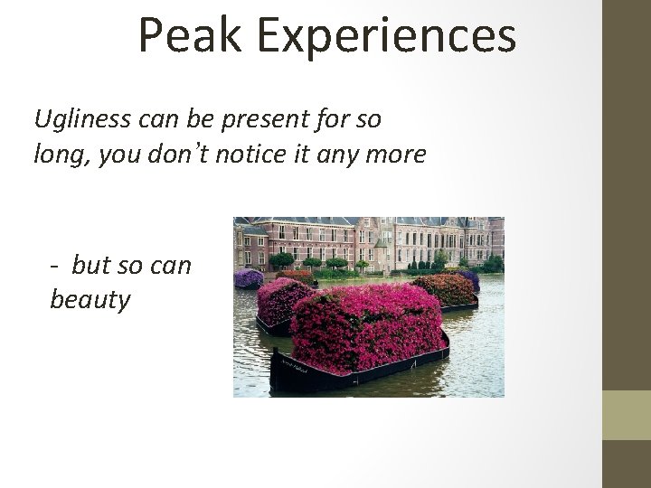 Peak Experiences Ugliness can be present for so long, you don’t notice it any