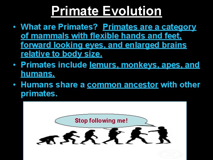 Primate Evolution • What are Primates? Primates are a category of mammals with flexible