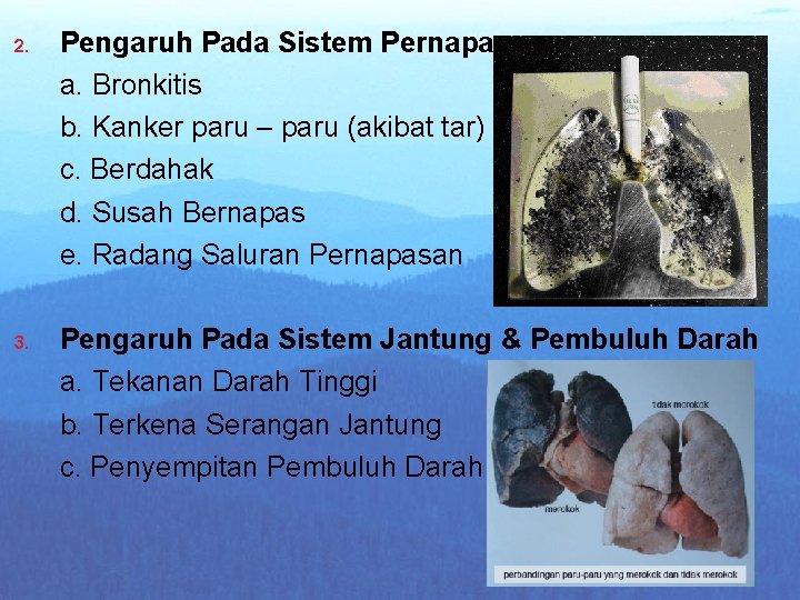 2. 3. Pengaruh Pada Sistem Pernapasan a. Bronkitis b. Kanker paru – paru (akibat