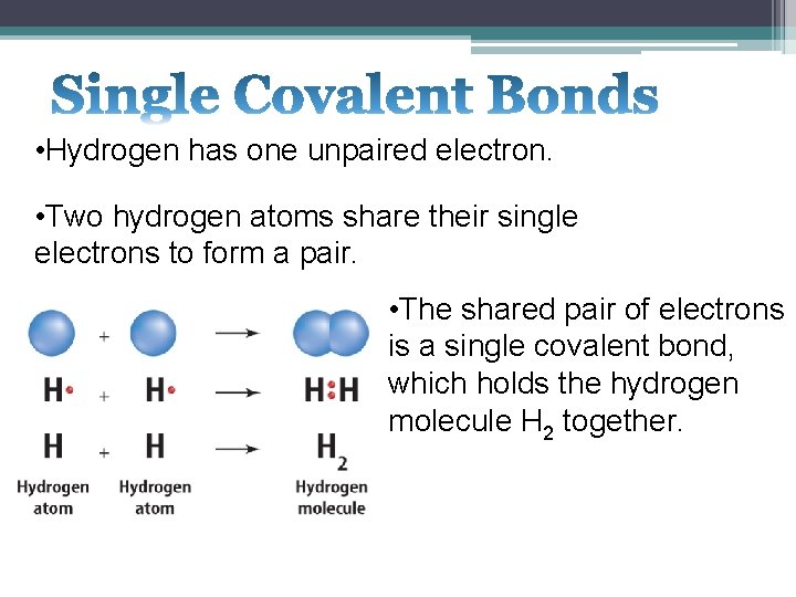  • Hydrogen has one unpaired electron. • Two hydrogen atoms share their single