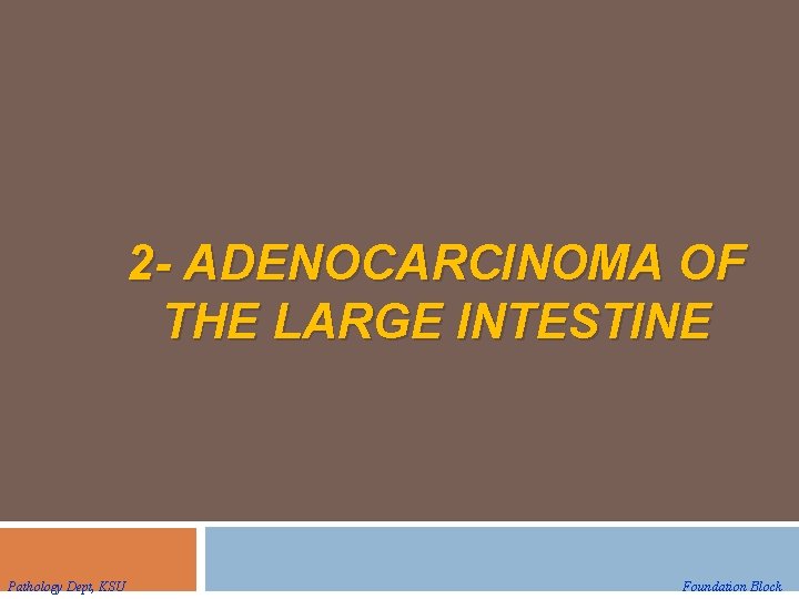 2 - ADENOCARCINOMA OF THE LARGE INTESTINE Pathology Dept, KSU Foundation Block 2 - ADENOCARCINOMA OF THE LARGE INTESTINE Pathology Dept, KSU Foundation Block