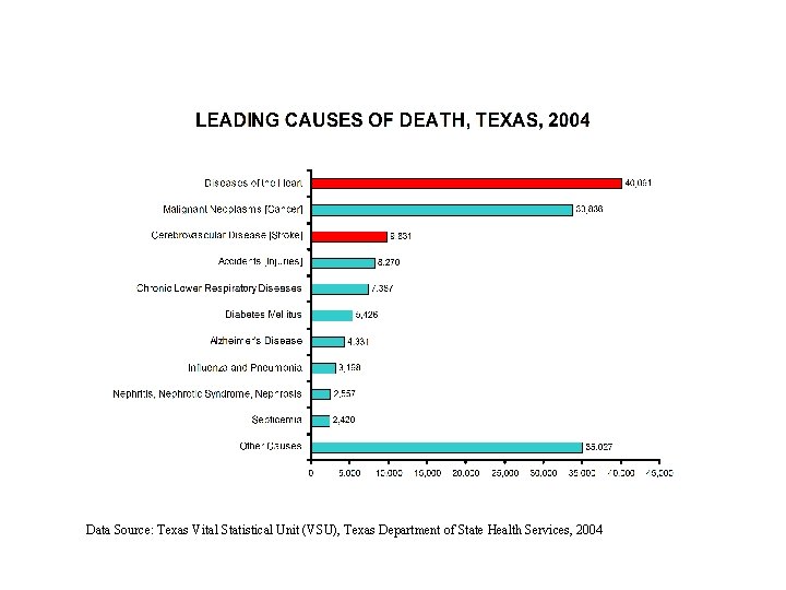Data Source: Texas Vital Statistical Unit (VSU), Texas Department of State Health Services, 2004 Data Source: Texas Vital Statistical Unit (VSU), Texas Department of State Health Services, 2004