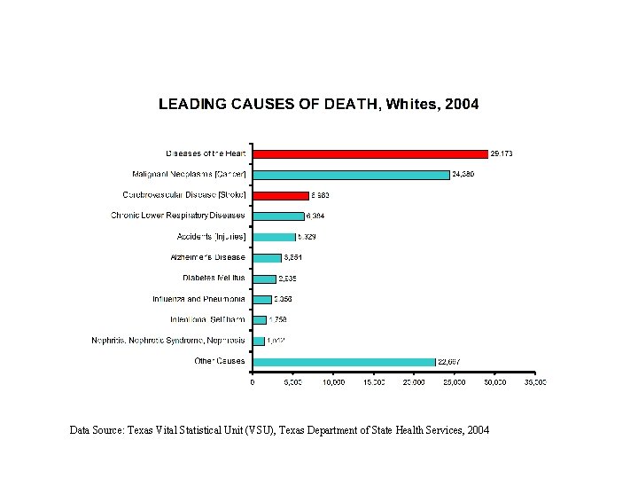 Data Source: Texas Vital Statistical Unit (VSU), Texas Department of State Health Services, 2004 Data Source: Texas Vital Statistical Unit (VSU), Texas Department of State Health Services, 2004
