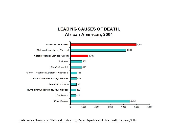 Data Source: Texas Vital Statistical Unit (VSU), Texas Department of State Health Services, 2004 Data Source: Texas Vital Statistical Unit (VSU), Texas Department of State Health Services, 2004