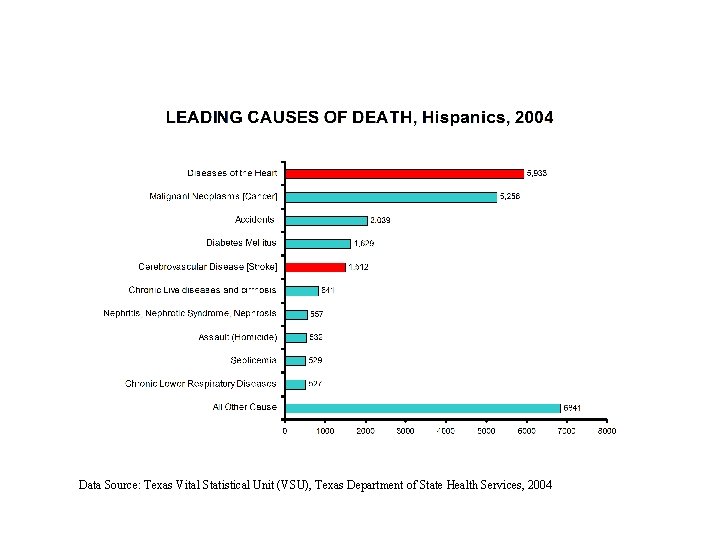 Data Source: Texas Vital Statistical Unit (VSU), Texas Department of State Health Services, 2004 Data Source: Texas Vital Statistical Unit (VSU), Texas Department of State Health Services, 2004
