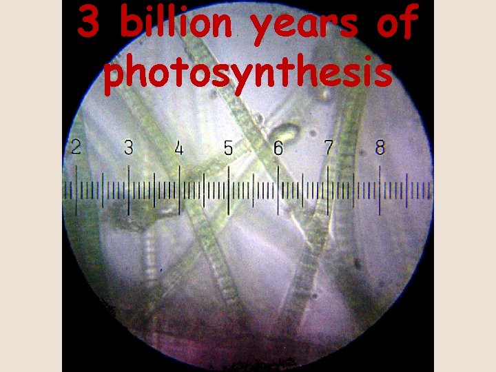 3 billion years of photosynthesis 