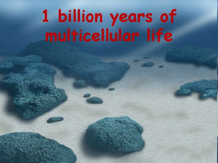 1 billion years of multicellular life 