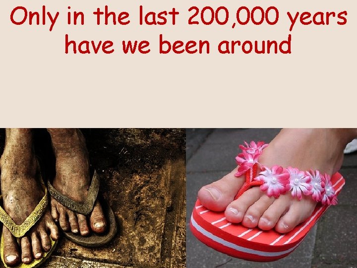 Only in the last 200, 000 years have we been around 