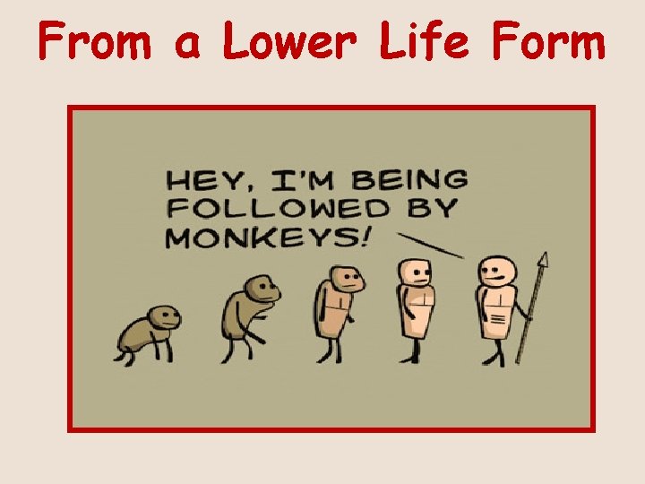 From a Lower Life Form 