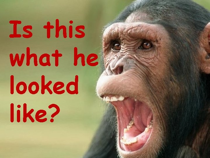 Is this what he looked like? 