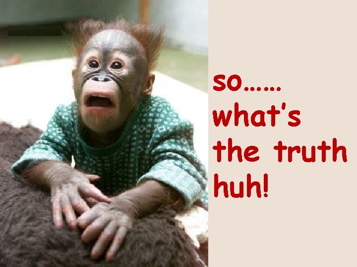 so…… what’s the truth huh! 