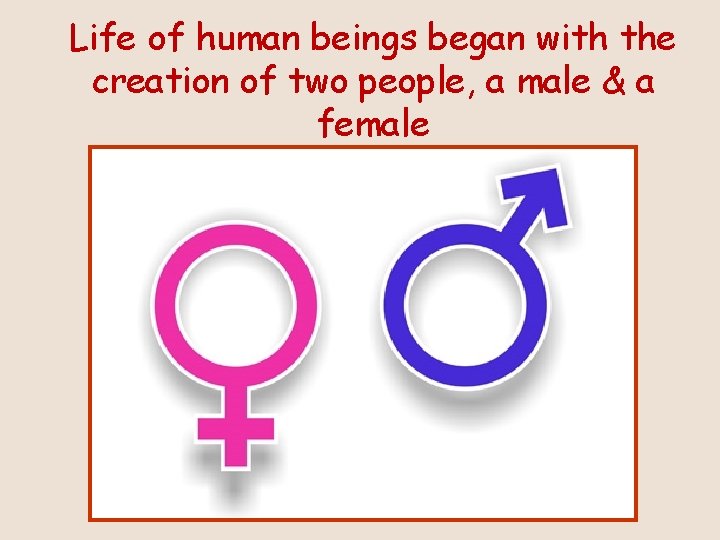 Life of human beings began with the creation of two people, a male &