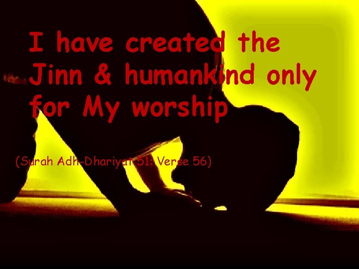 I have created the Jinn & humankind only for My worship (Surah Adh-Dhariyat 51: