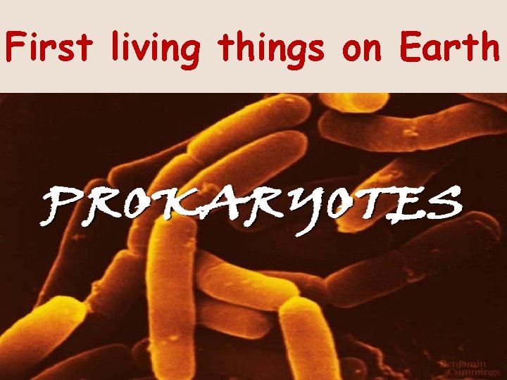First living things on Earth 