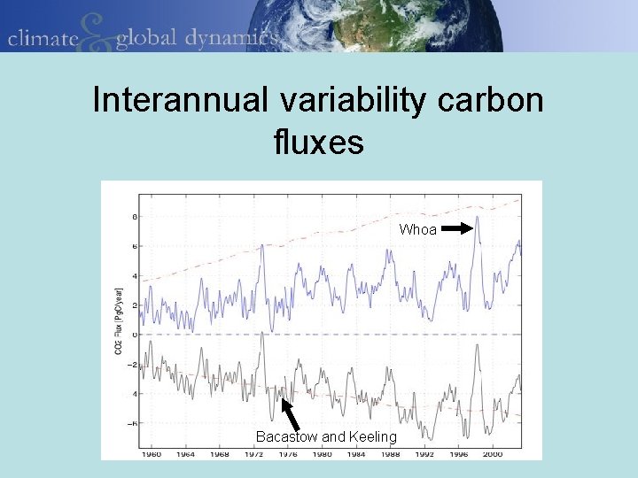 Interannual variability carbon fluxes Whoa Bacastow and Keeling 