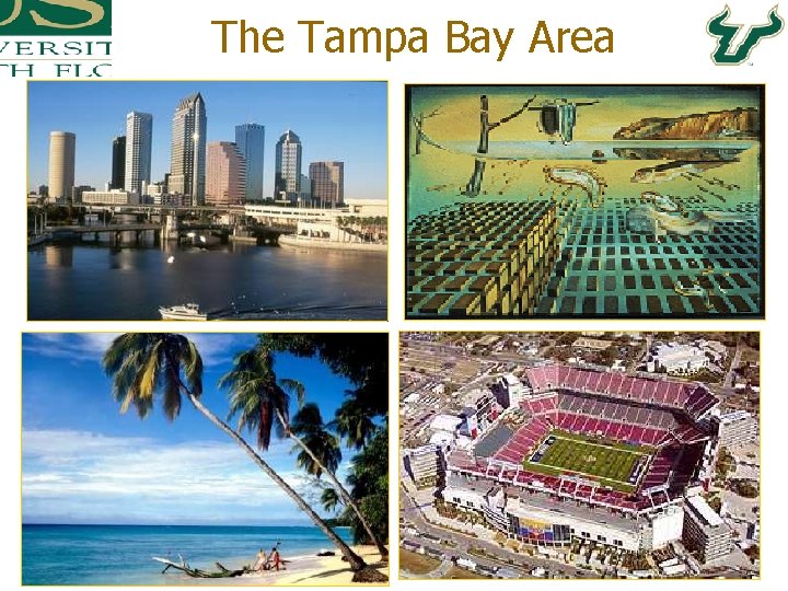 The Tampa Bay Area 