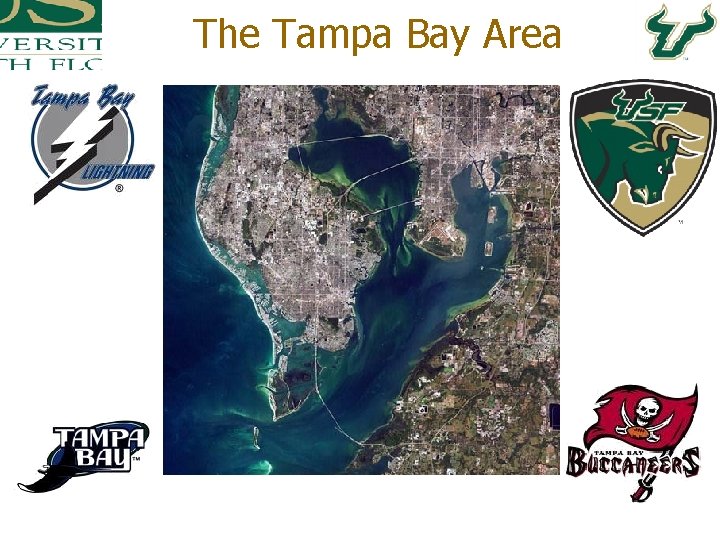 The Tampa Bay Area 