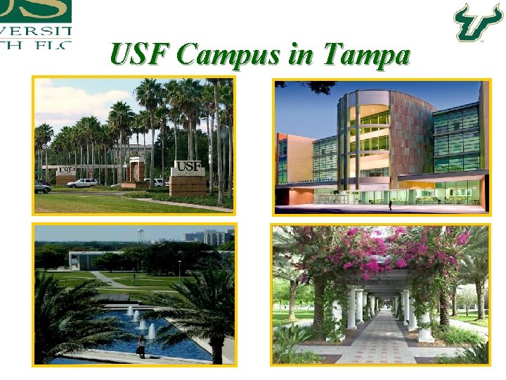 USF Campus in Tampa 