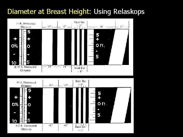 Diameter at Breast Height: Using Relaskops 