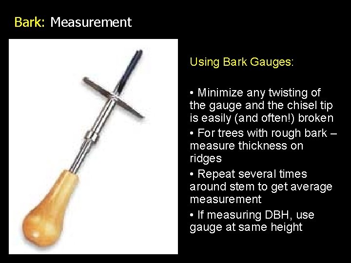 Bark: Measurement Using Bark Gauges: • Minimize any twisting of the gauge and the