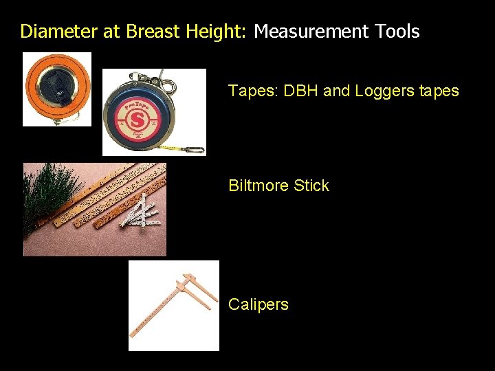 Diameter at Breast Height: Measurement Tools Tapes: DBH and Loggers tapes Biltmore Stick Calipers