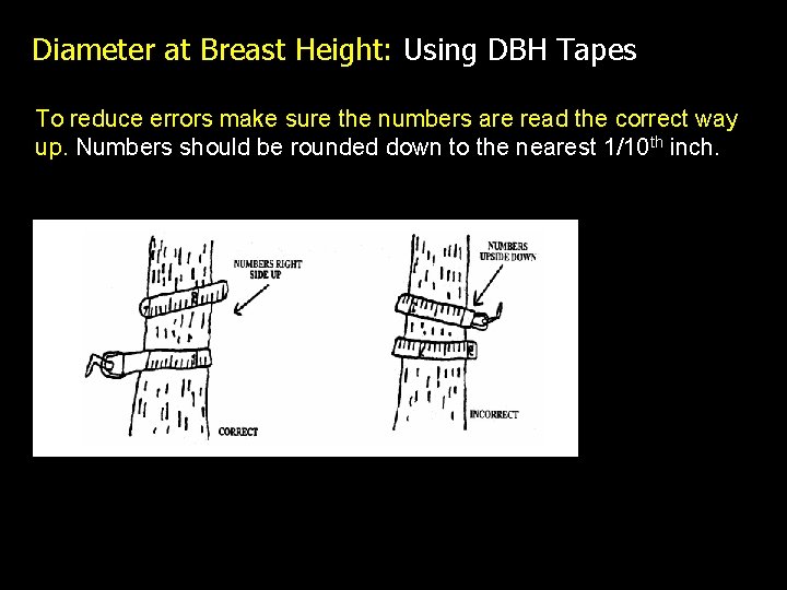 Diameter at Breast Height: Using DBH Tapes To reduce errors make sure the numbers