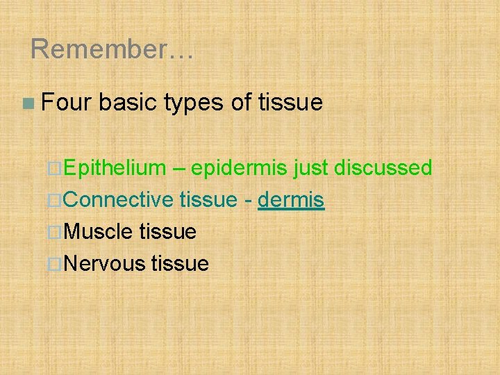 Remember… n Four basic types of tissue ¨Epithelium – epidermis just discussed ¨Connective tissue