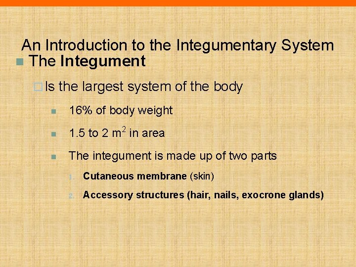 An Introduction to the Integumentary System n The Integument ¨ Is the largest system