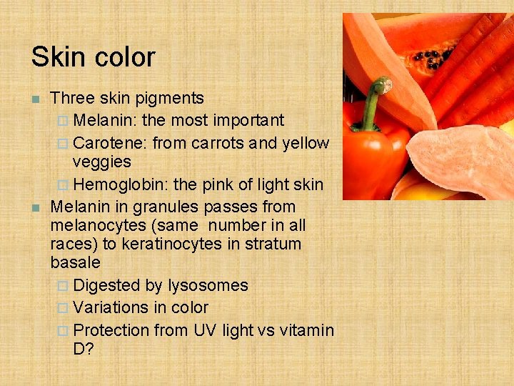 Skin color n n Three skin pigments ¨ Melanin: the most important ¨ Carotene: