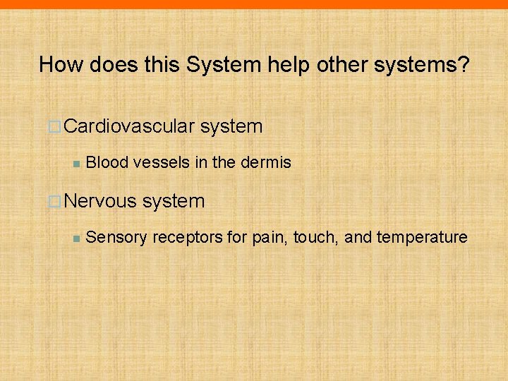 How does this System help other systems? ¨ Cardiovascular n Blood vessels in the