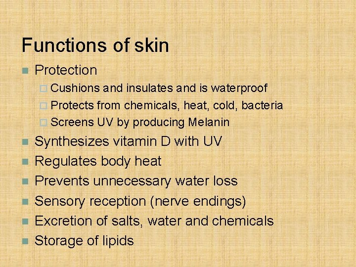 Functions of skin n Protection ¨ Cushions and insulates and is waterproof ¨ Protects