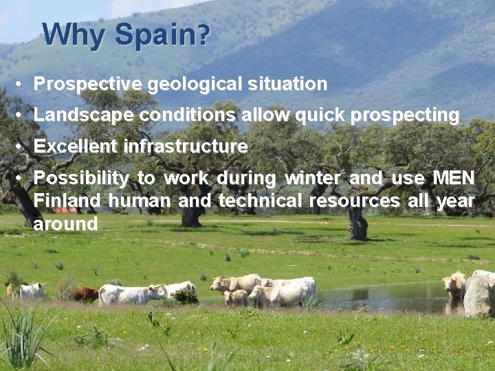 Why Spain? • Prospective geological situation • Landscape conditions allow quick prospecting • Excellent