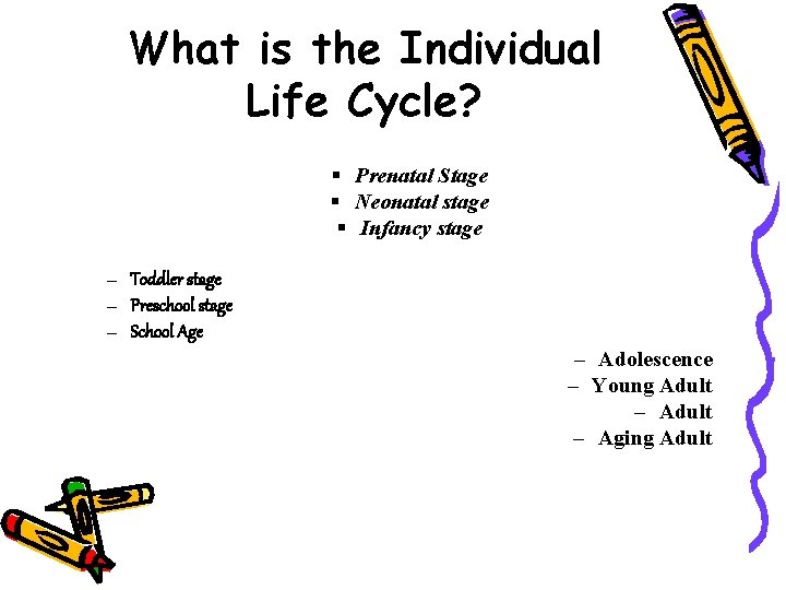 What is the Individual Life Cycle? § Prenatal Stage § Neonatal stage § Infancy What is the Individual Life Cycle? § Prenatal Stage § Neonatal stage § Infancy