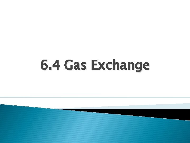 6. 4 Gas Exchange 6. 4 Gas Exchange
