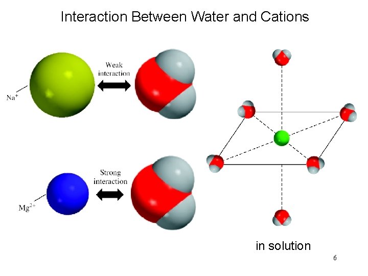 Interaction Between Water and Cations in solution 6 