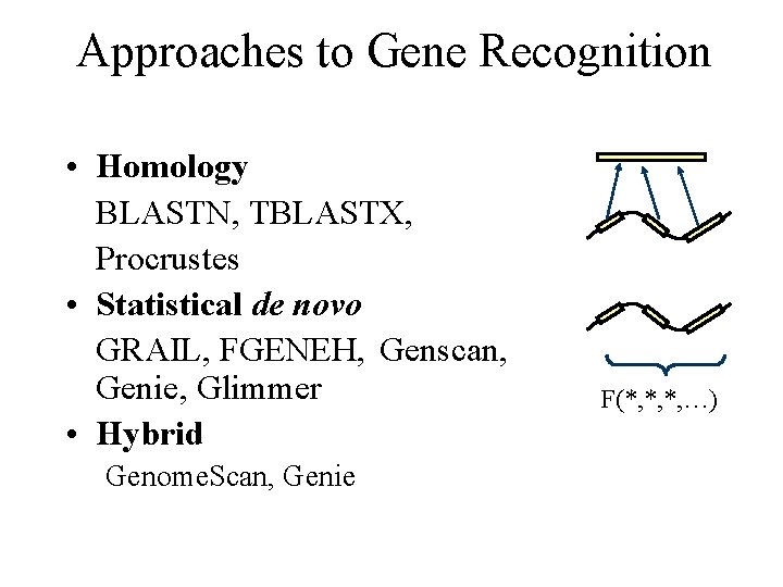 Approaches to Gene Recognition • Homology BLASTN, TBLASTX, Procrustes • Statistical de novo GRAIL,