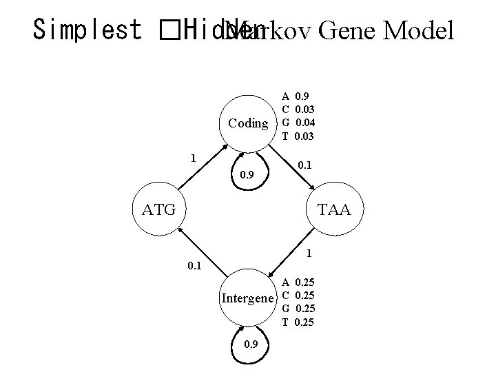 Simplest �Hidden Markov Gene Model Coding A C G T 1 0. 9 0.
