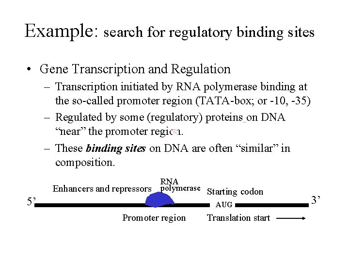 Example: search for regulatory binding sites • Gene Transcription and Regulation – Transcription initiated