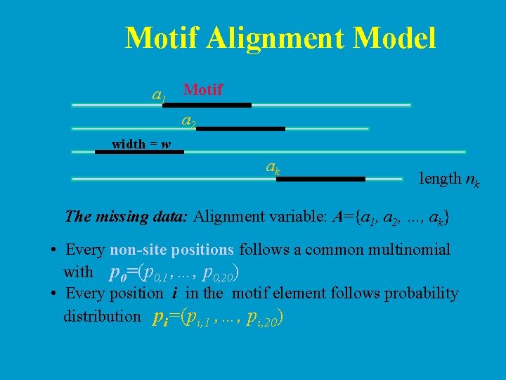 Motif Alignment Model a 1 Motif a 2 width = w ak length nk