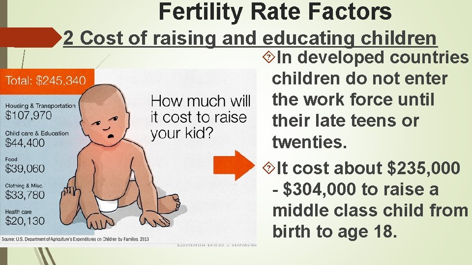 Fertility Rate Factors 2 Cost of raising and educating children In developed countries children