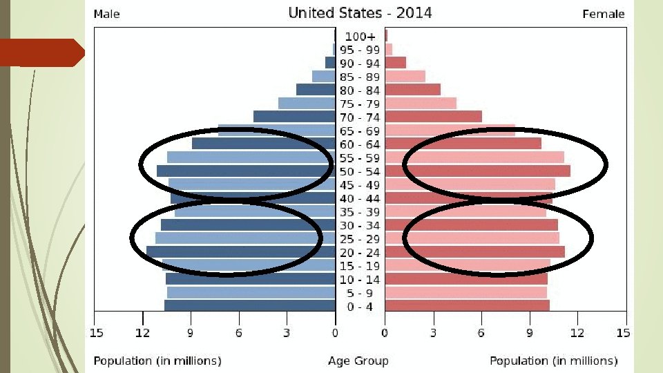 United States Age Structure Diagram 
